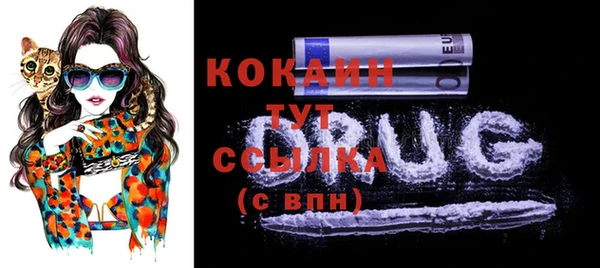 ПСИЛОЦИБИНОВЫЕ ГРИБЫ Баксан