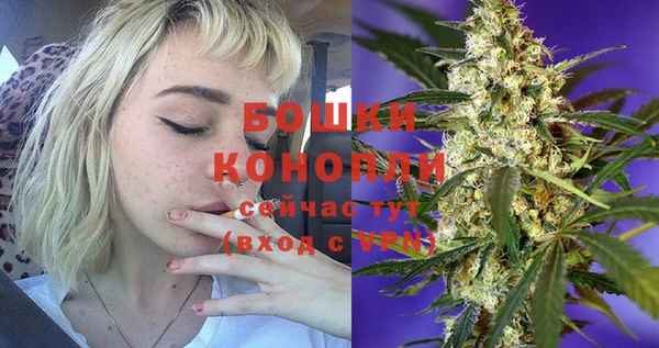 шишки Белоозёрский