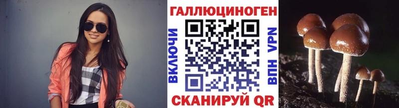 Купить  Лосино-Петровский  Псилоцибиновые грибы Cubensis 
